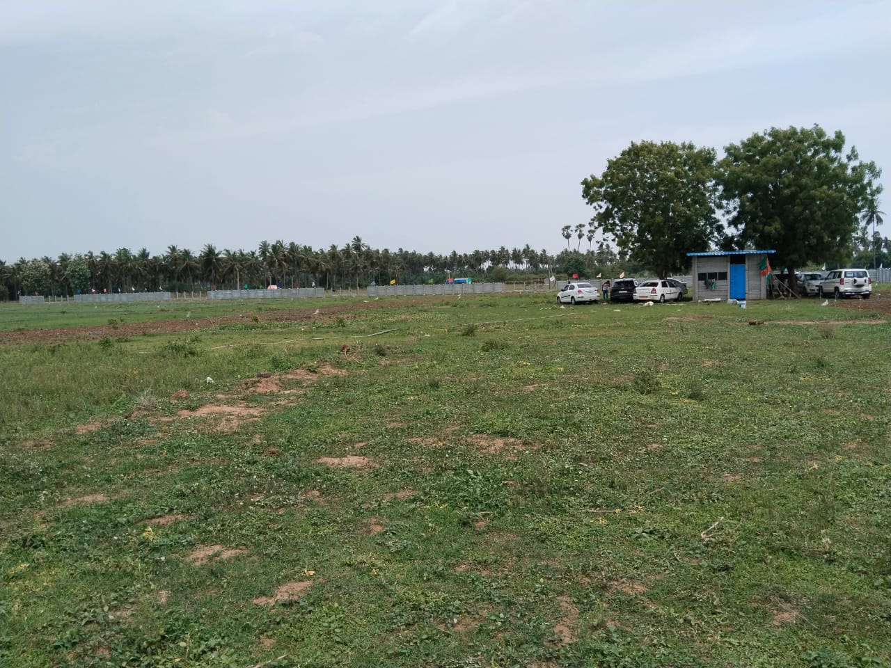 Site Development Progress